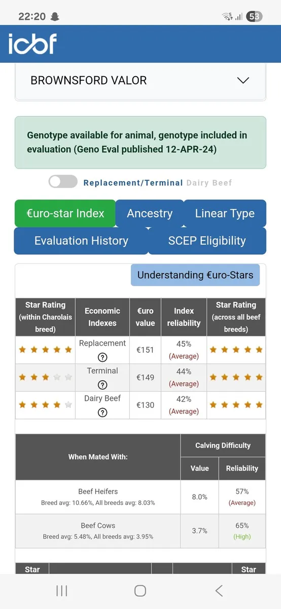 PBR Charolias Bulls - Image 3