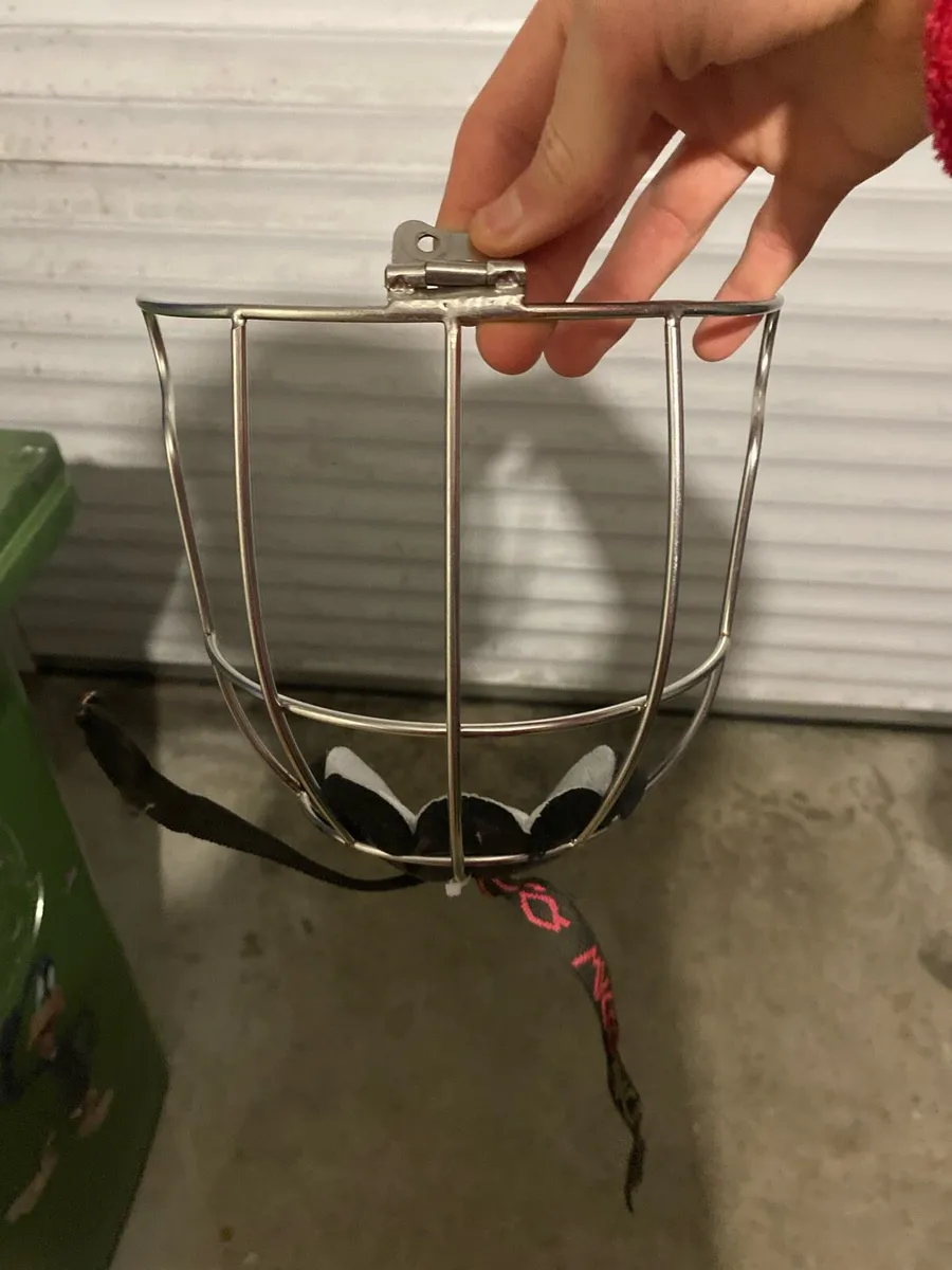 Brian Walsh guard - Image 1