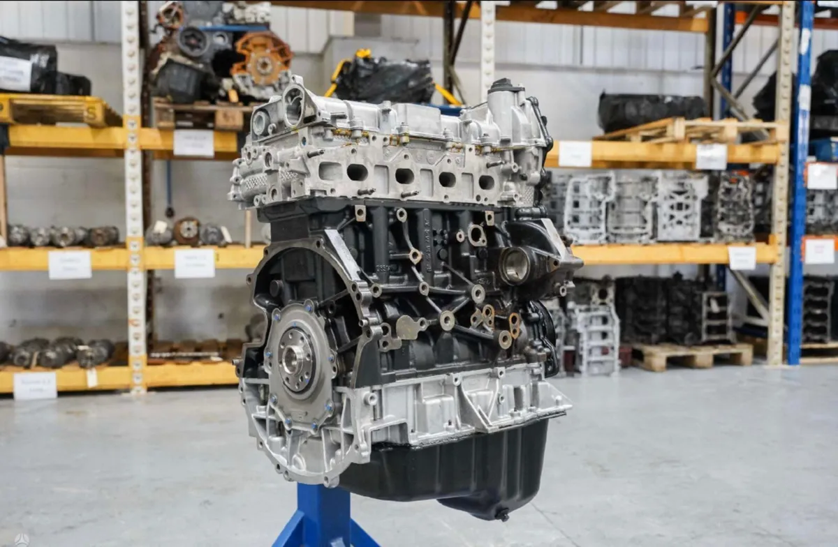 Ford Transit 2.0 EcoBlue – Fully Reconditioned Eng - Image 1