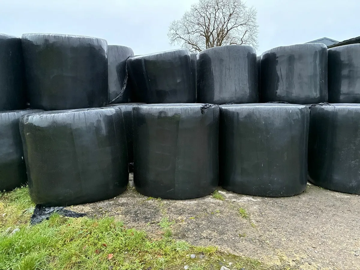 Bales - Image 2