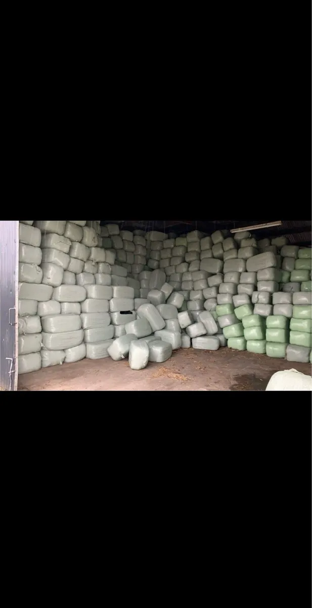 Haylage - Image 2