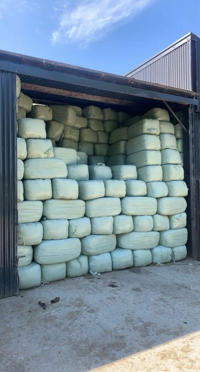 Haylage - Image 3