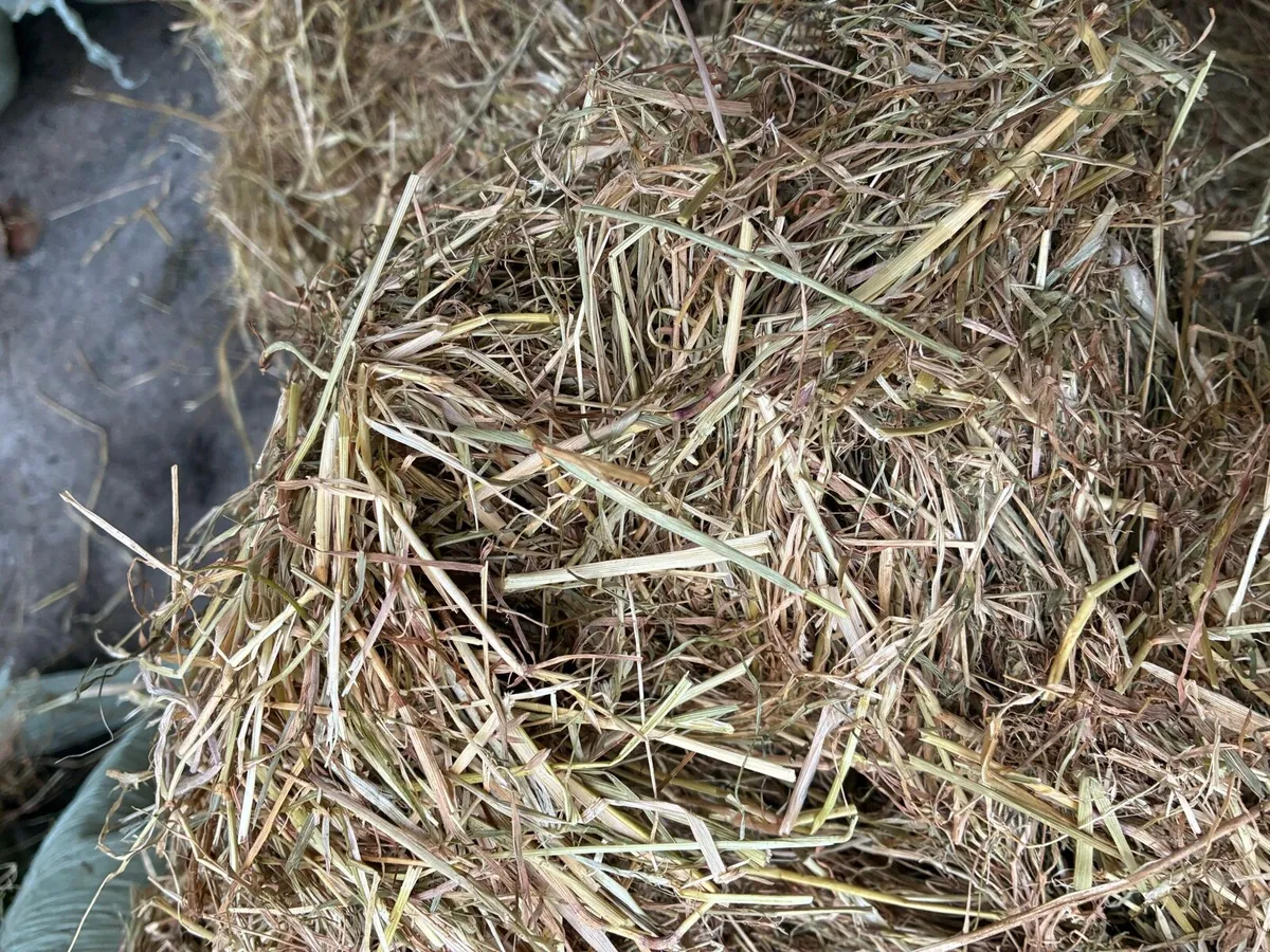 Haylage - Image 4