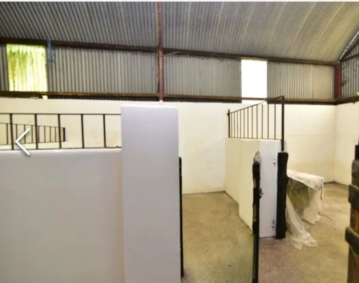 Breaking/Handling/Sales livery - Image 1