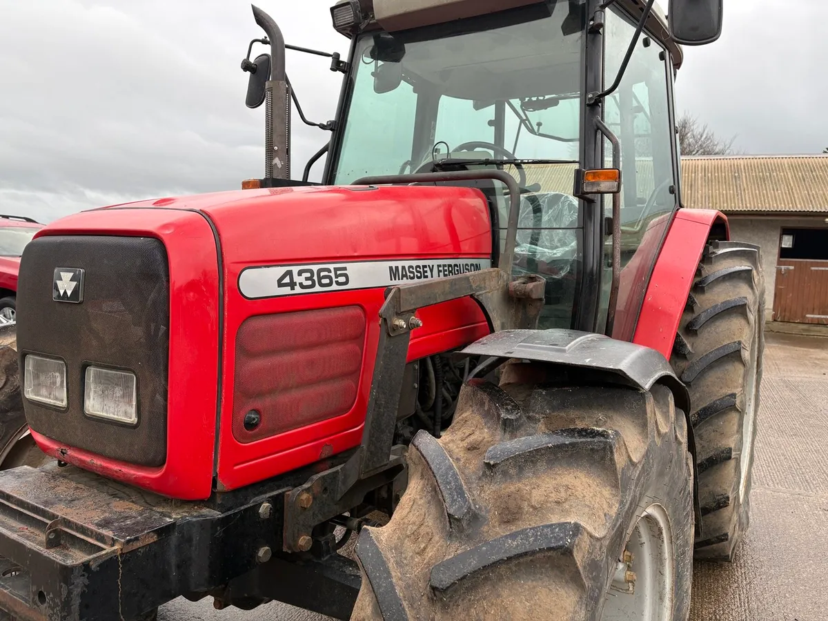 Massey Ferguson 4365 - Image 3