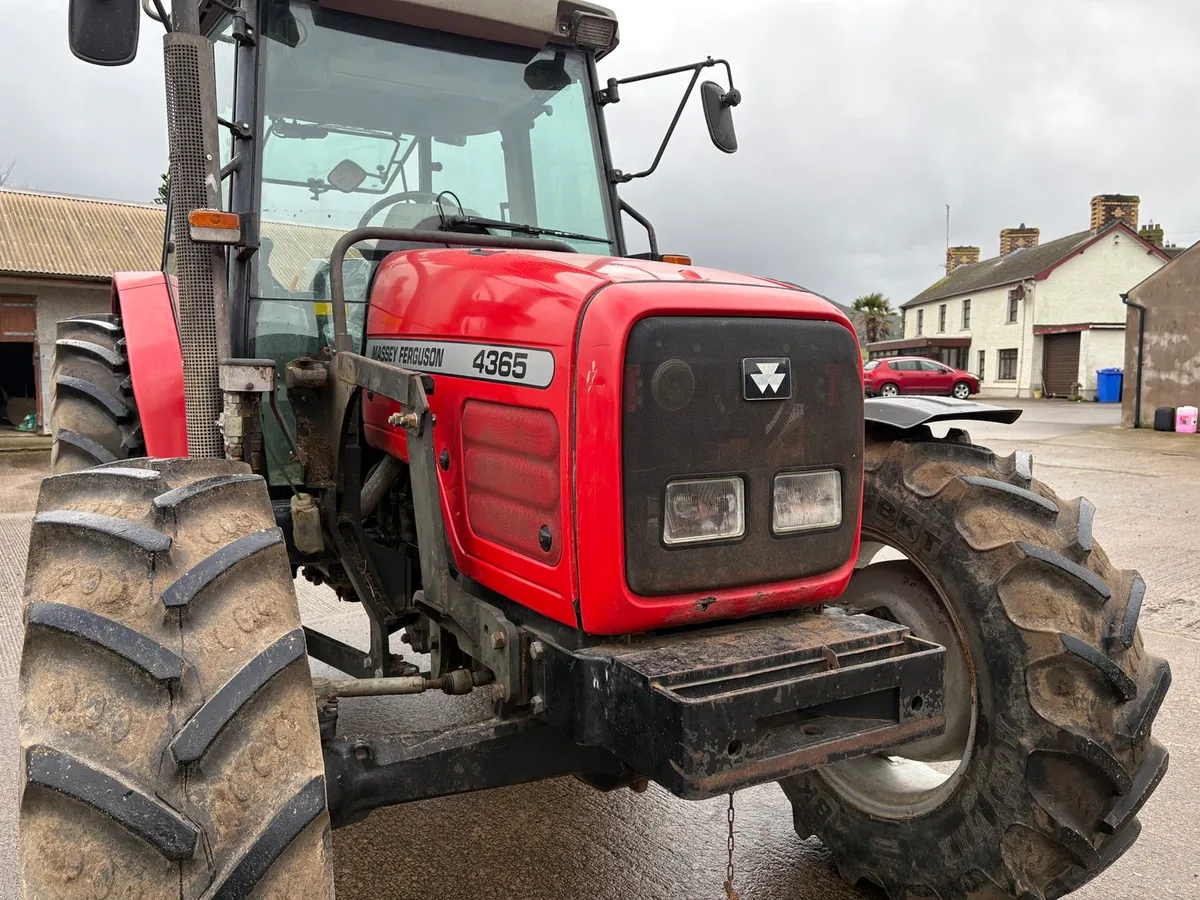 Massey Ferguson 4365 - Image 4