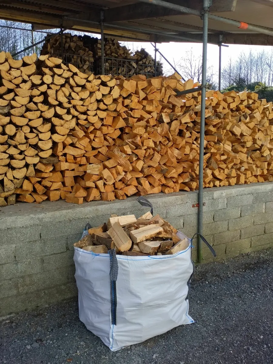 Firewood - Image 2
