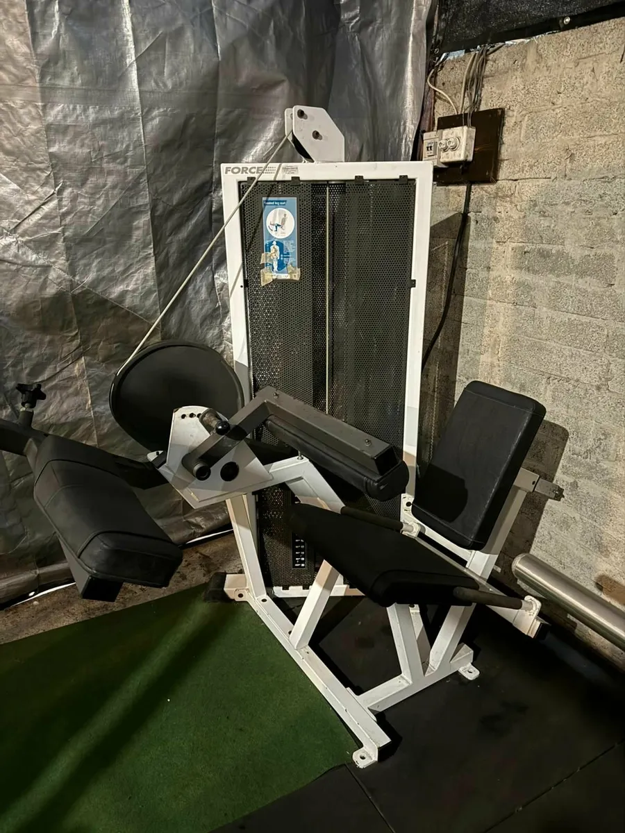 FORCE Leg Curl Machine Commercial - Image 1