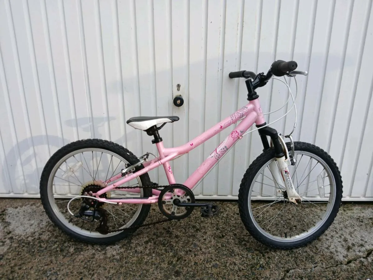 Boys and girls 20 inch bikes - Image 1