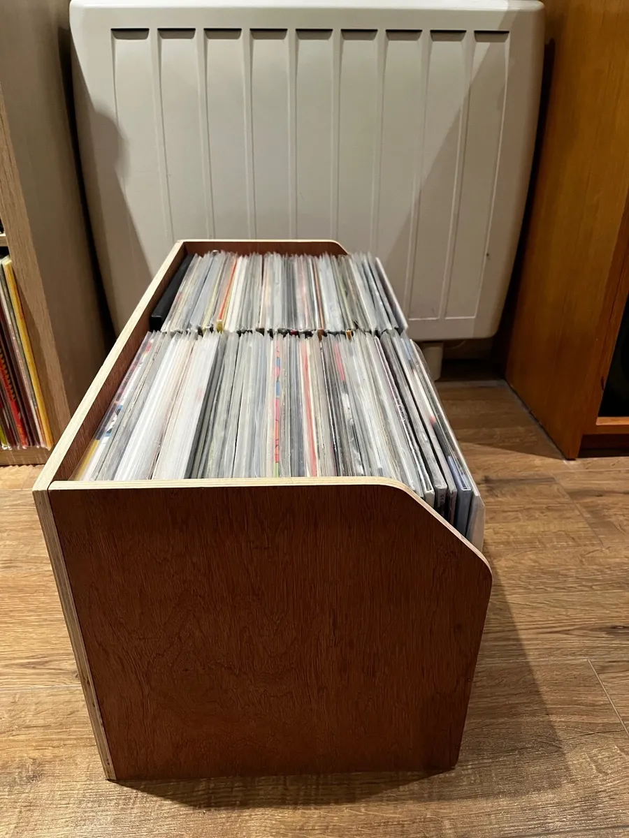Vinyl Storage - Image 3