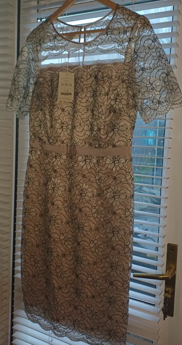 Monsoon size 14 lace dress - Image 3
