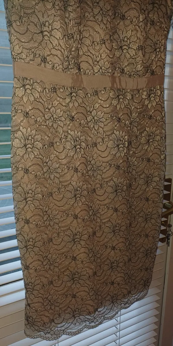 Monsoon size 14 lace dress - Image 4