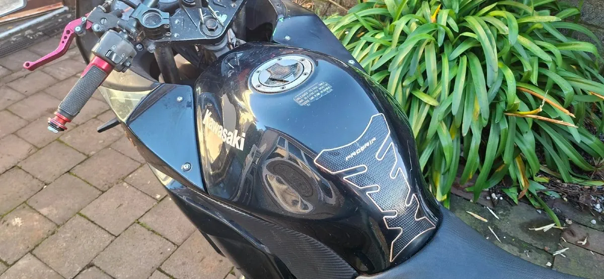 Kawasaki Ninja 250r - Image 2