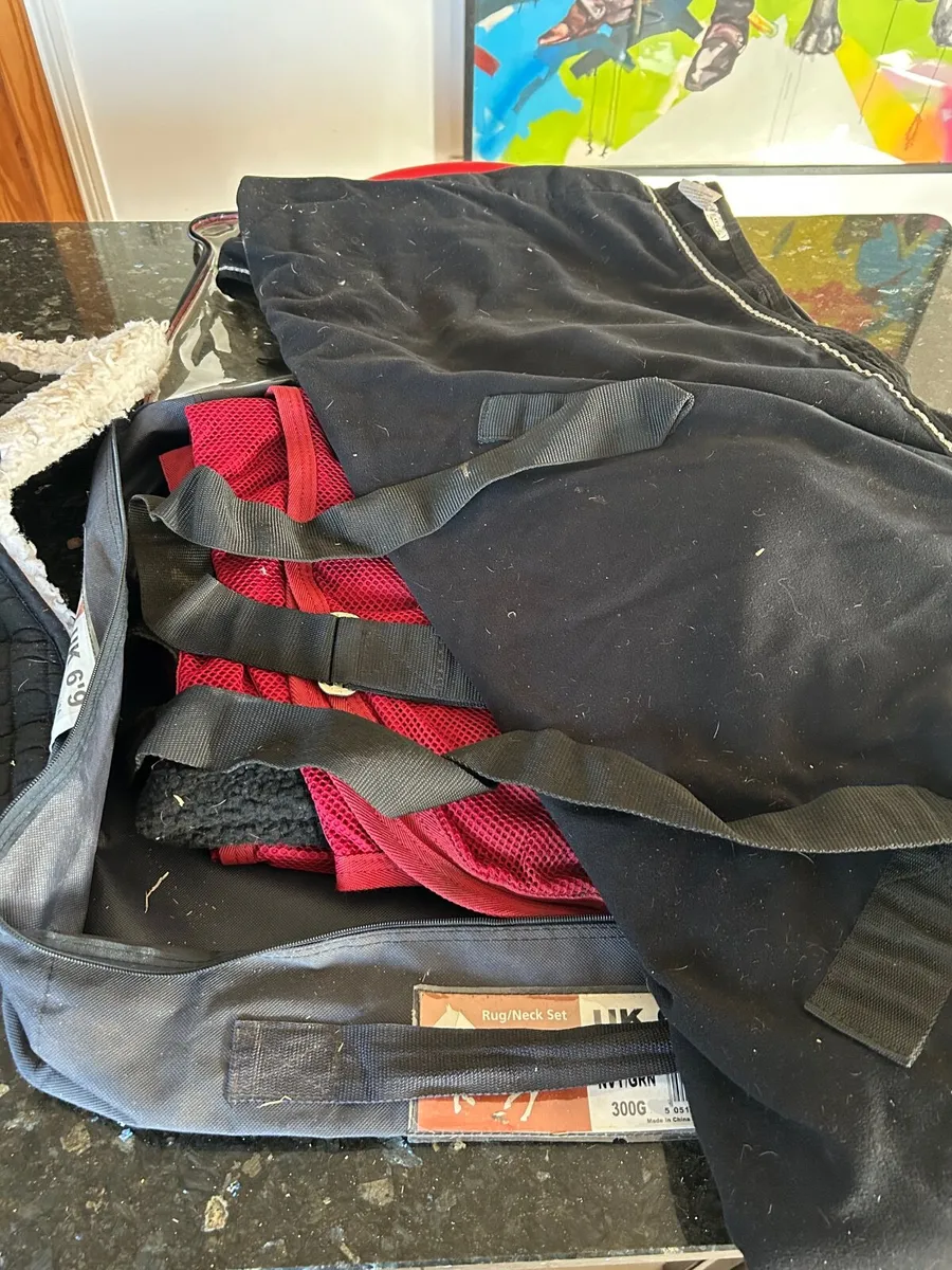 Equine tack - Image 2