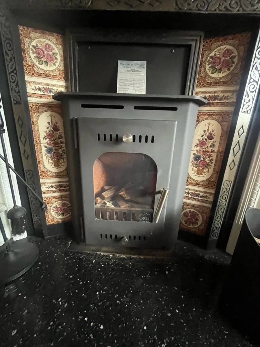 Boru  solid fuel   insert stove - Image 2