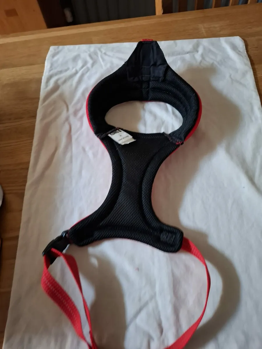 Dog coat and garness - Image 4