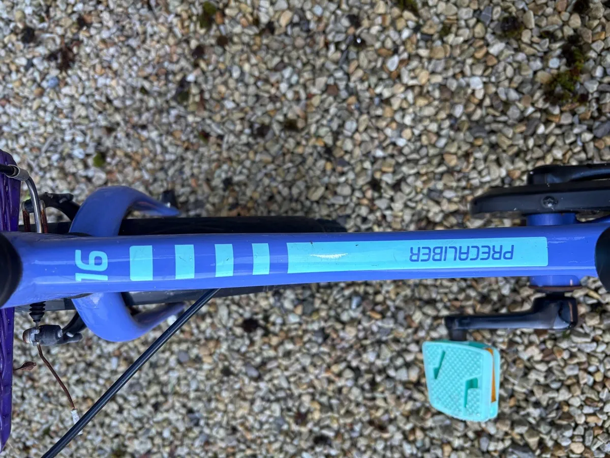 Trek Precaliber - Image 2