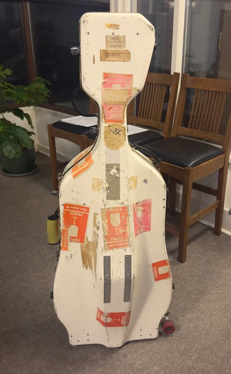 Cello Cases - for sale separately if desired - Image 4