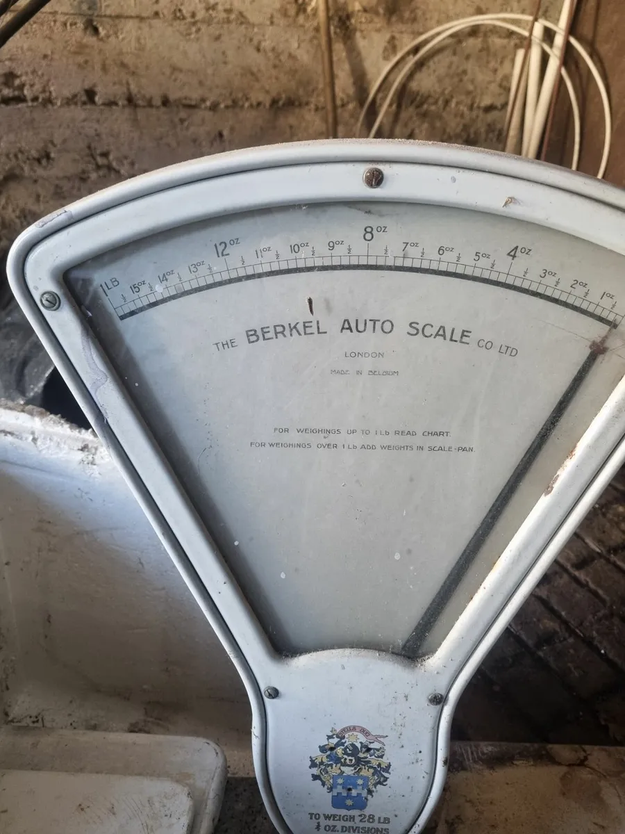 Berkel antique counter top weighing scale - Image 2