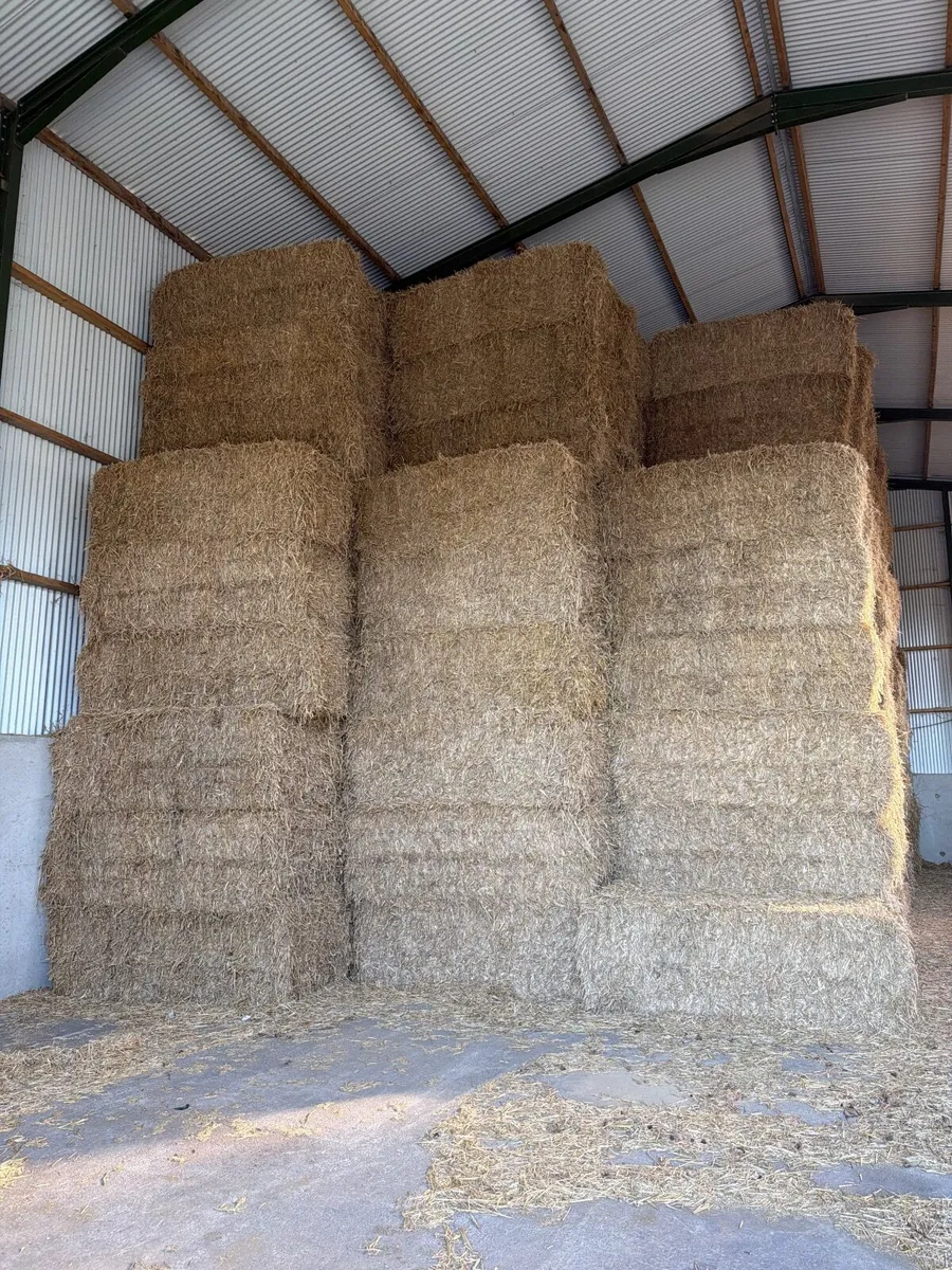 Chopped wheaten straw - Image 1