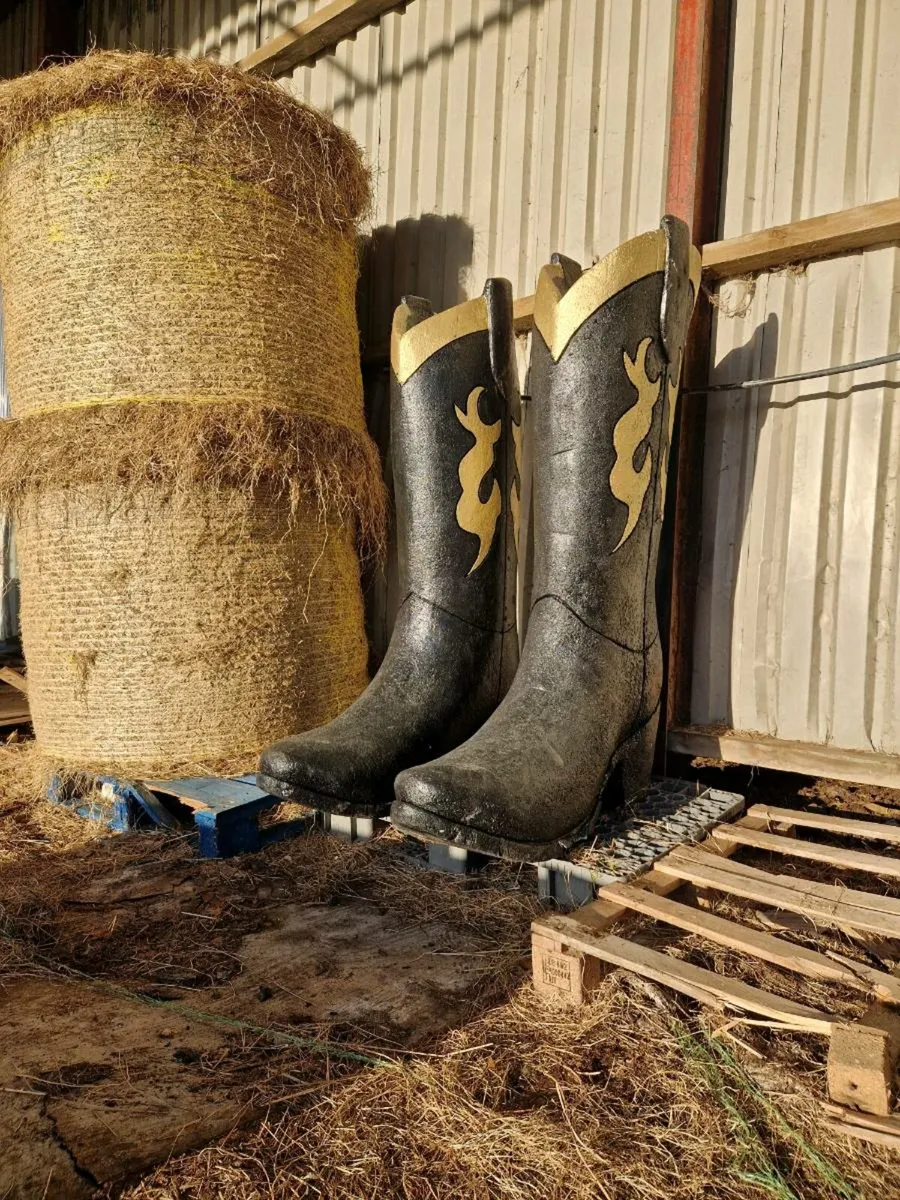 Giant cowboy boots - Image 2
