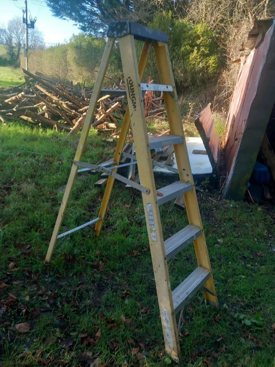 Ladders - Image 1