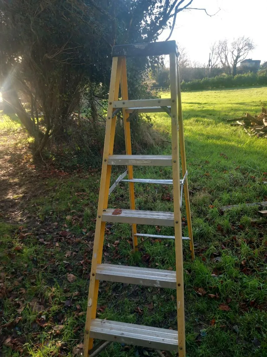 Ladders - Image 2