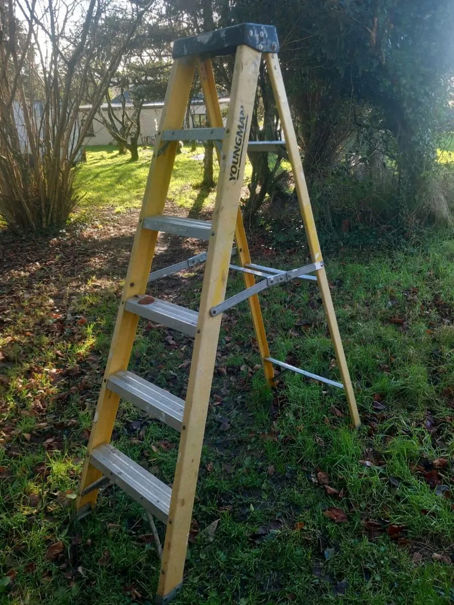 Ladders - Image 3