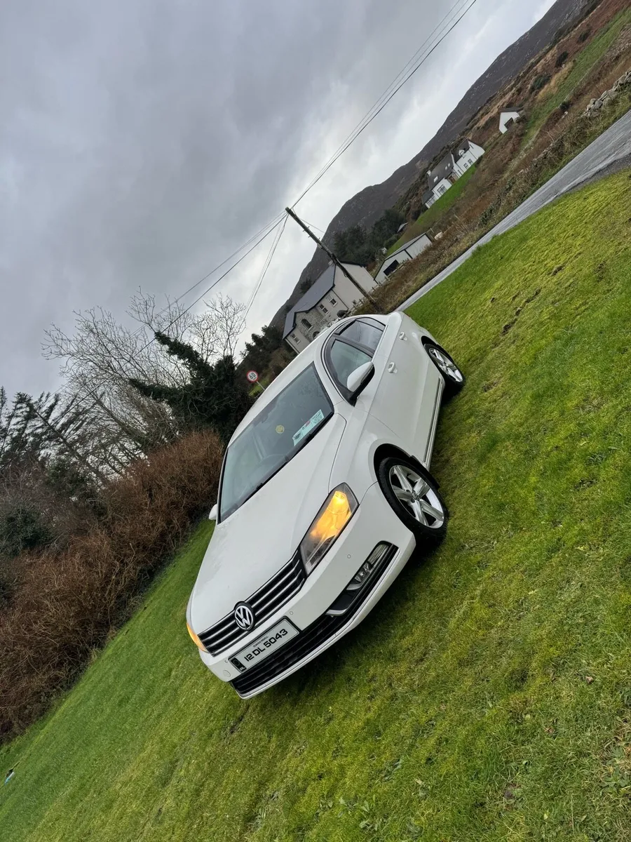 Volkswagen Passat 2L - Image 2