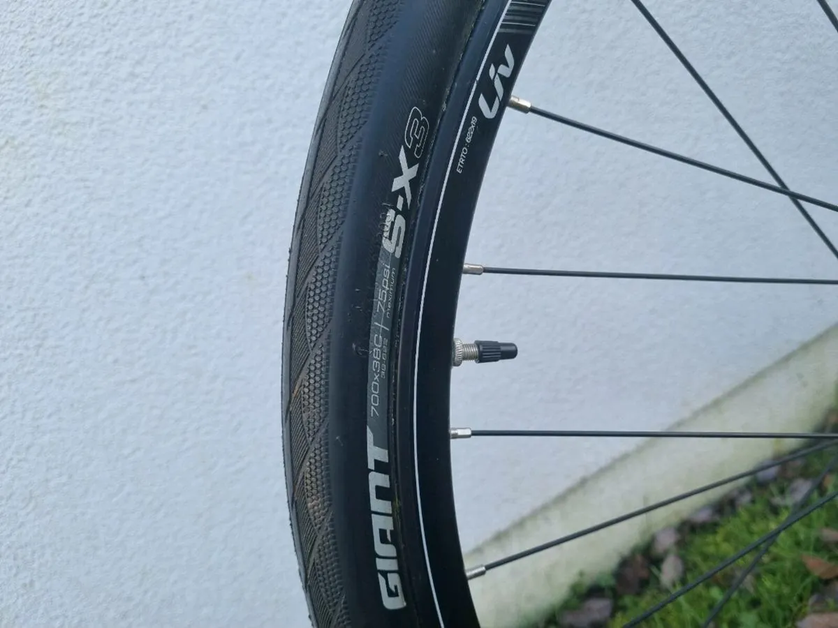 Bicycle LIV - Image 1