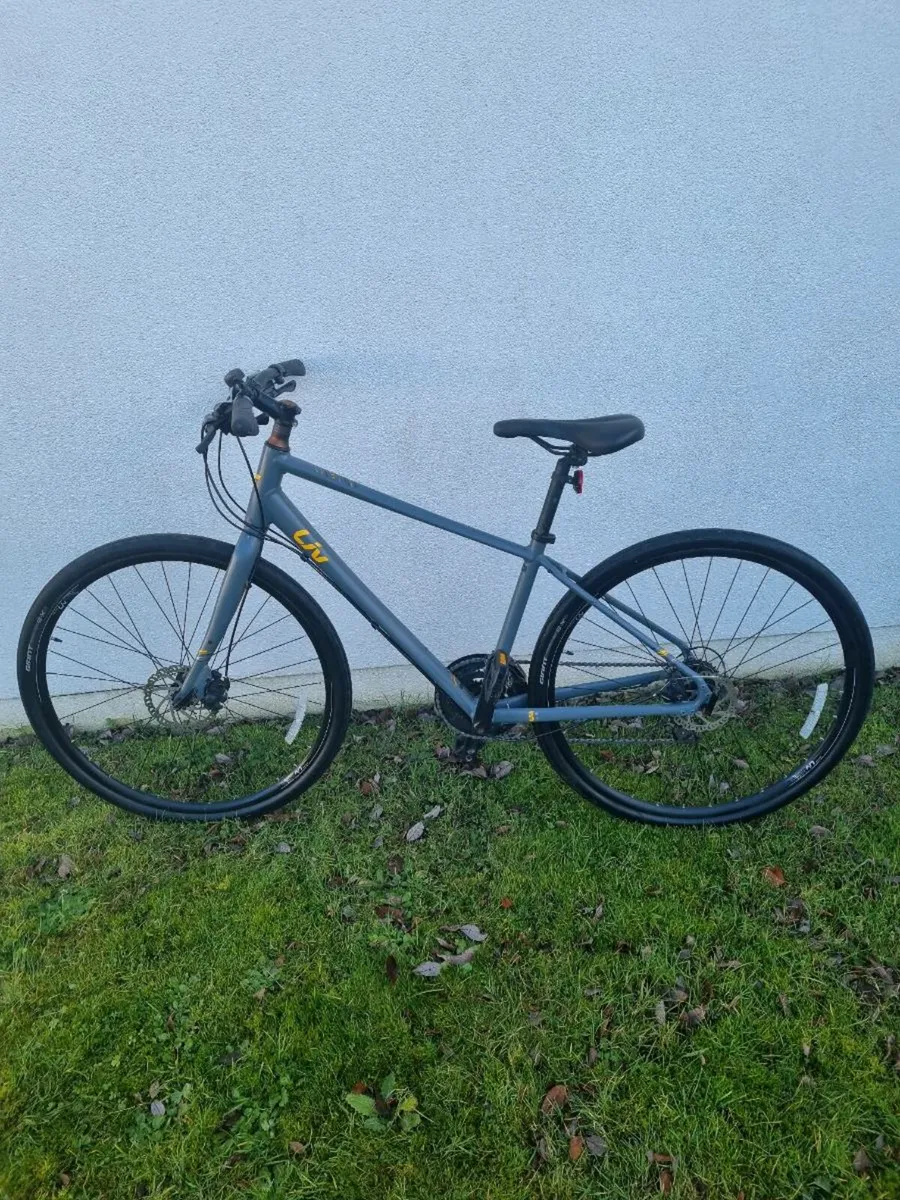 Bicycle LIV - Image 4