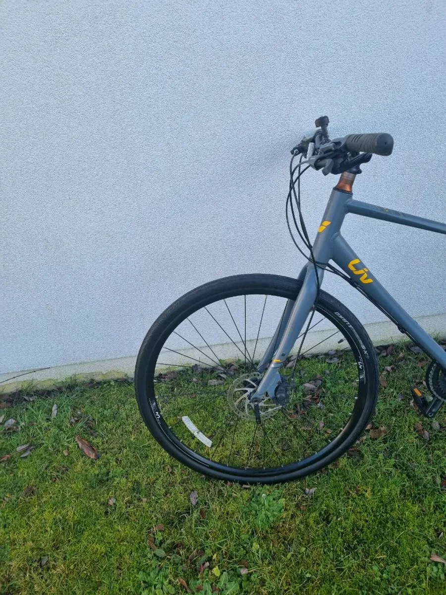 Bicycle LIV - Image 2