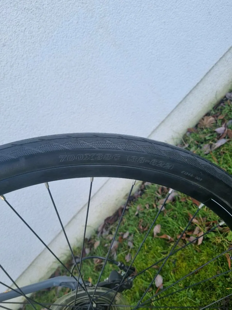 Bicycle LIV - Image 4