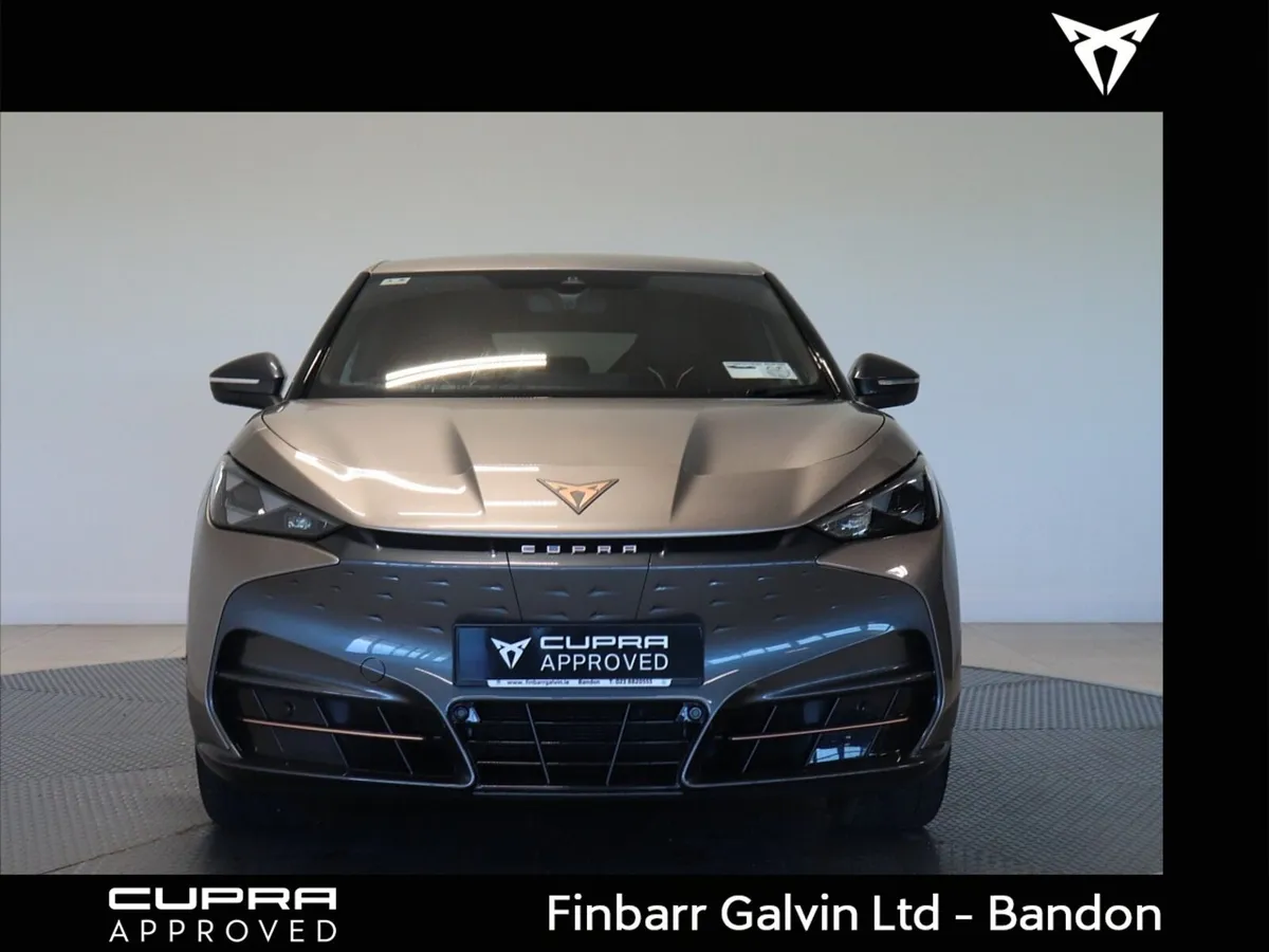 TAVASCAN ENDURANCE 282HP (4) - Image 2