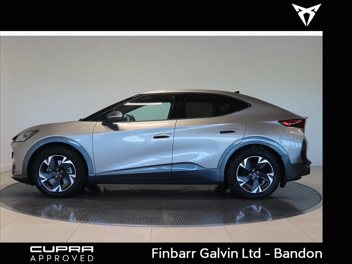 TAVASCAN ENDURANCE 282HP (4) - Image 3