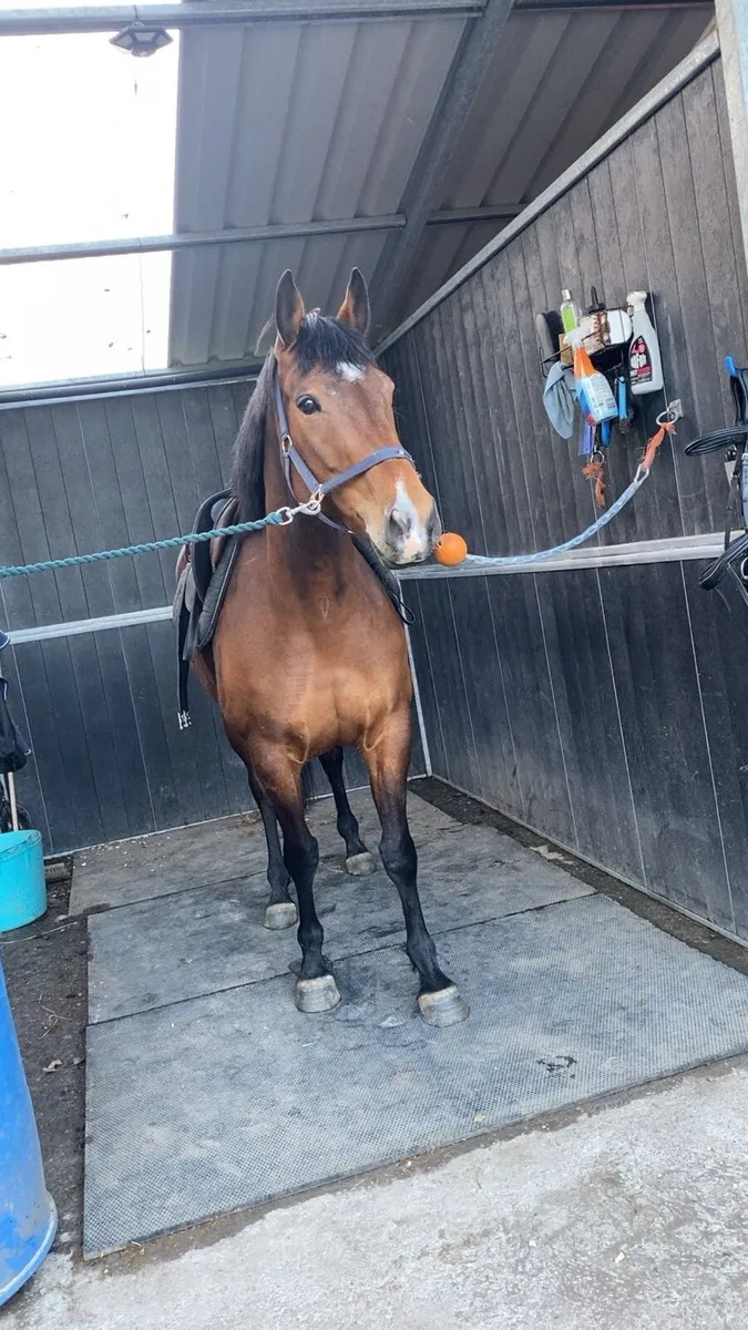 OBOS 6yrold - Image 1