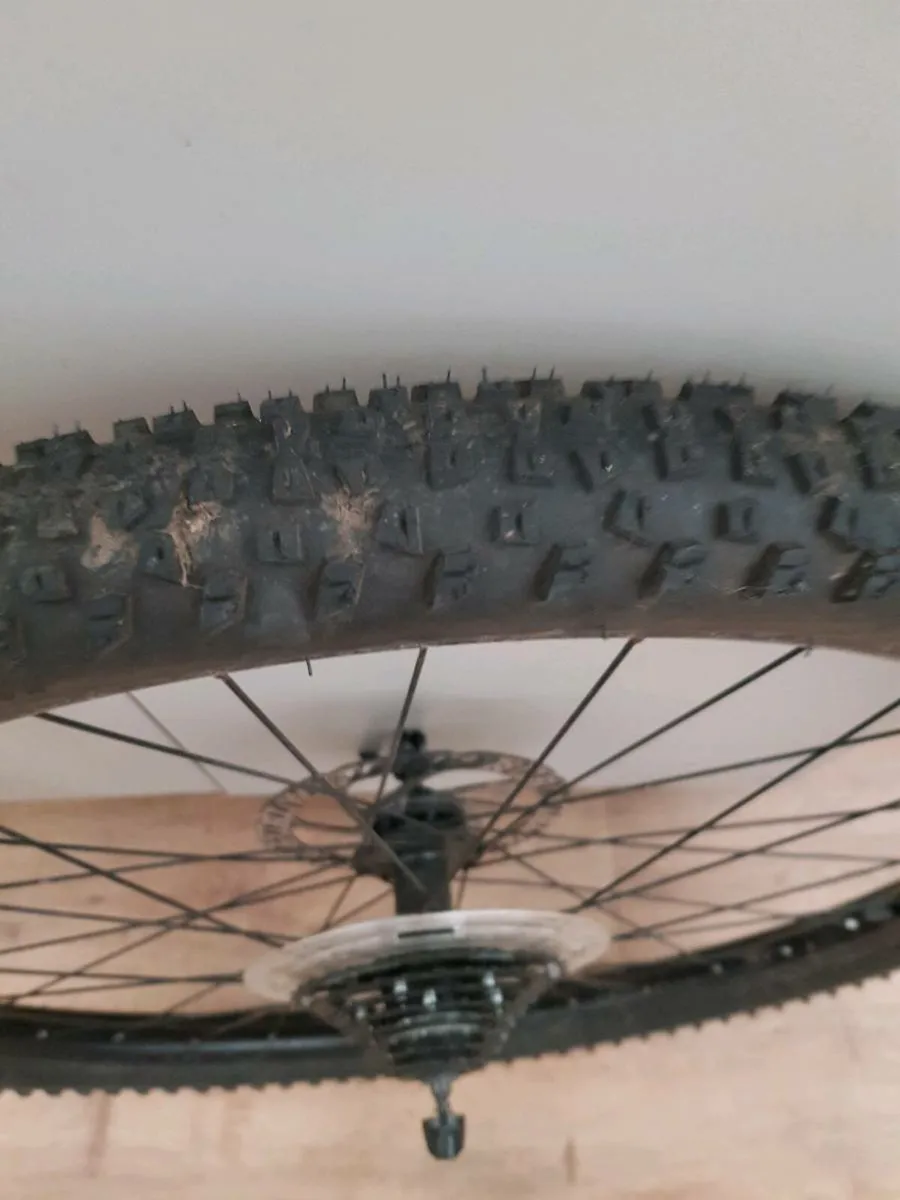 Disc wheel rear - Image 3