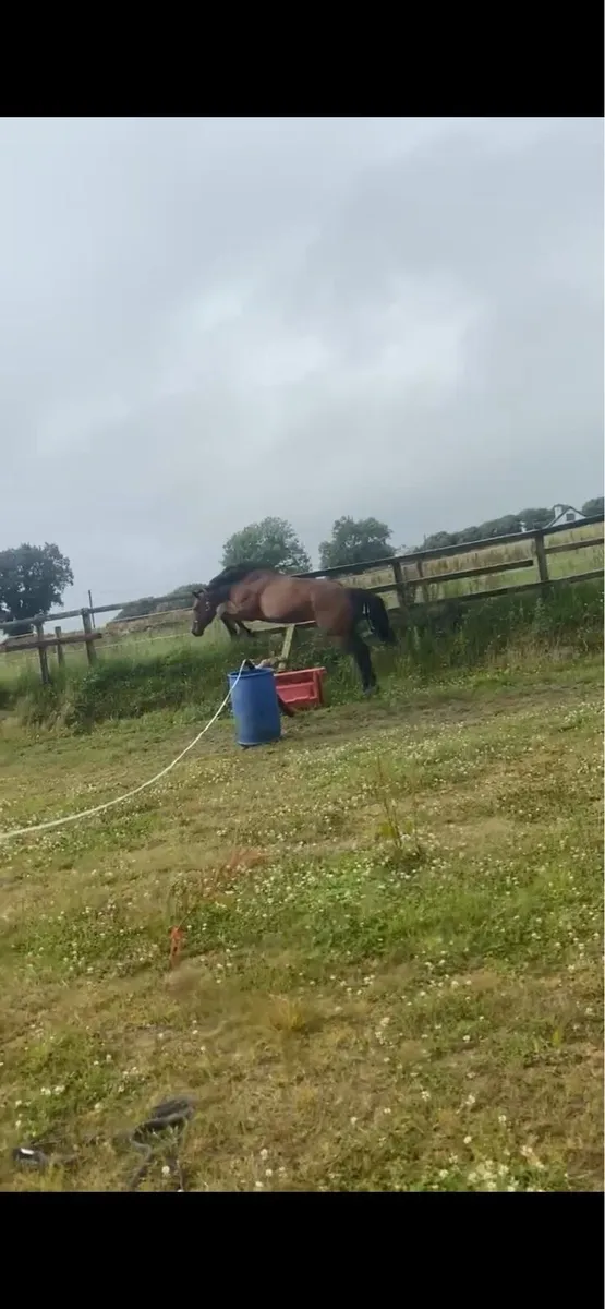 OBOS 6yrold - Image 4