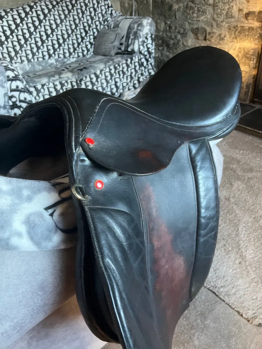 Saddles - Image 3