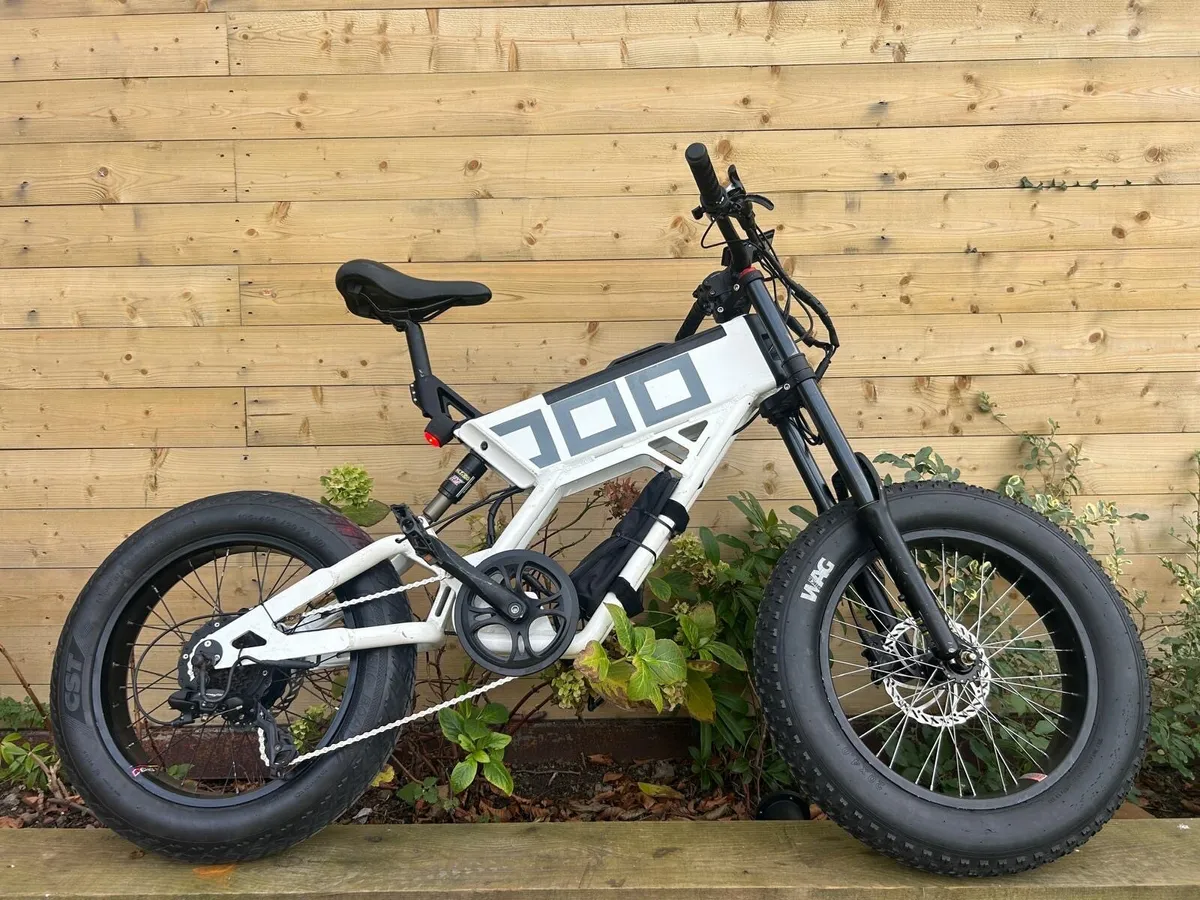 Electric Bike - Image 1