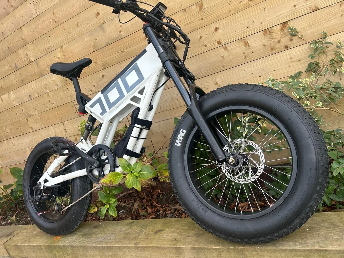 Electric Bike - Image 2