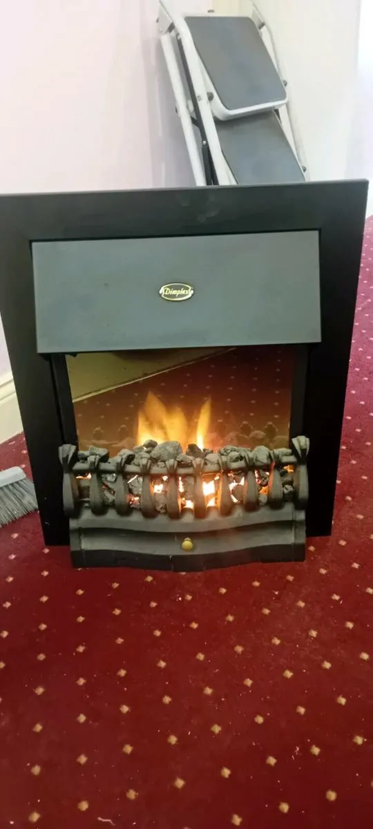 Electric fire - Image 4