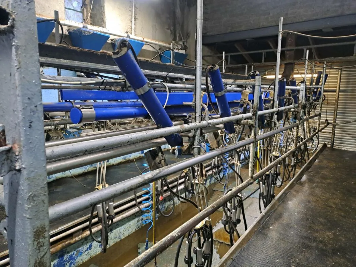 Milking parlour - Image 1