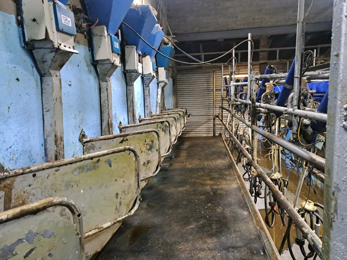 Milking parlour - Image 4
