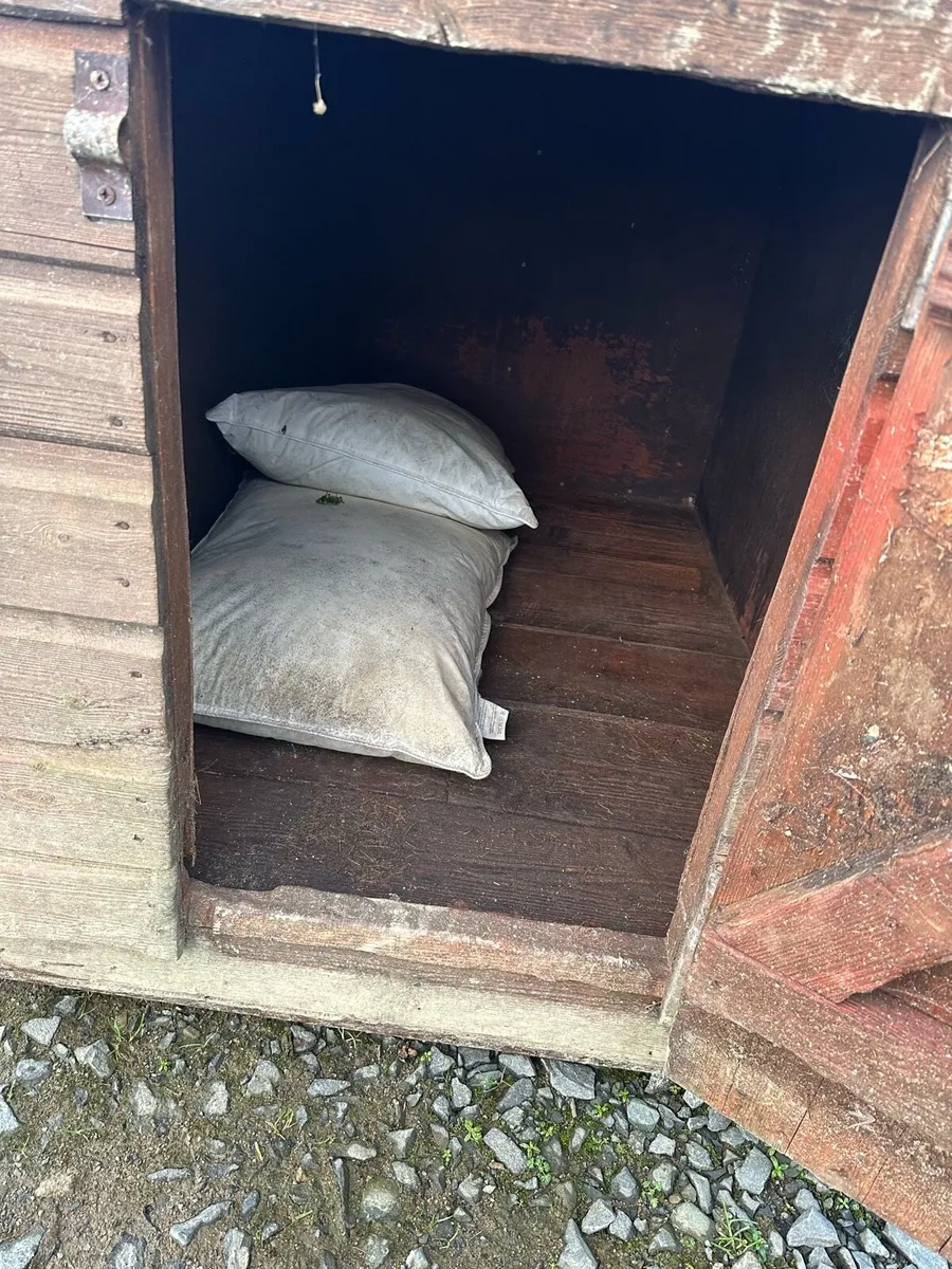 Dog Kennel - Image 3