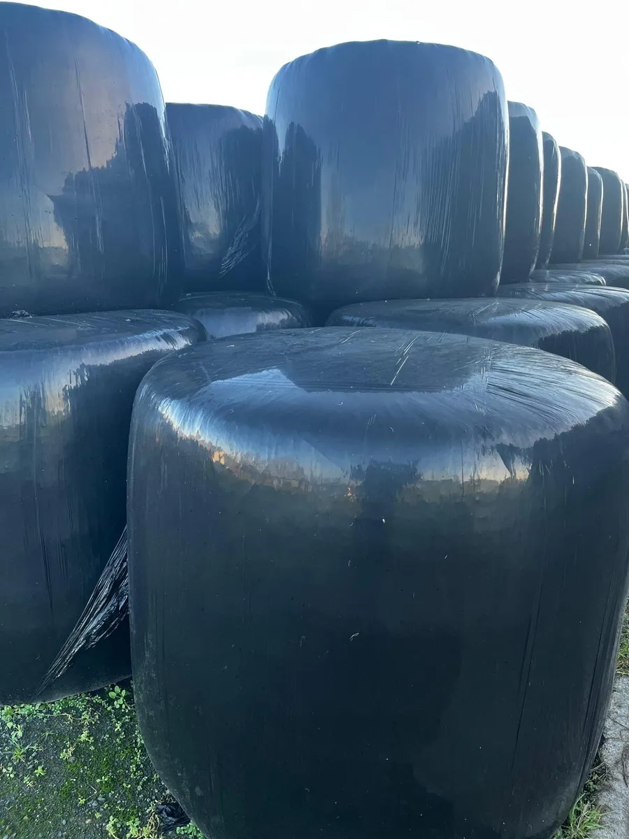 Bales of silage - Image 2