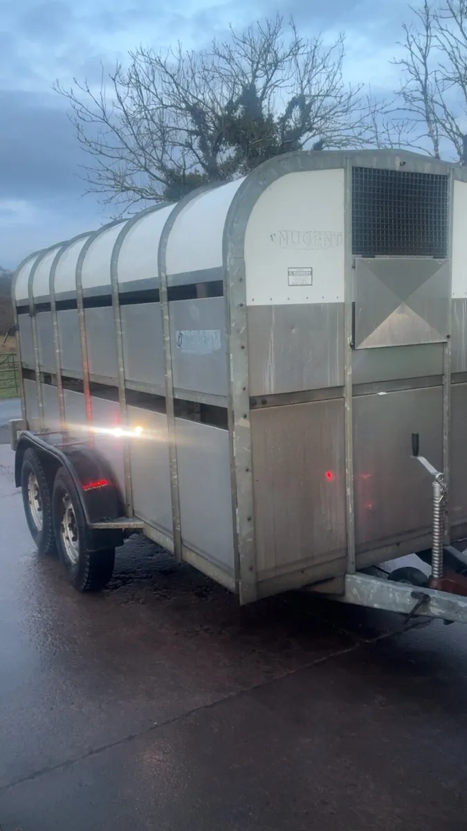 Nugent 12 x 6 Cattle / Sheep Trailer - Image 2