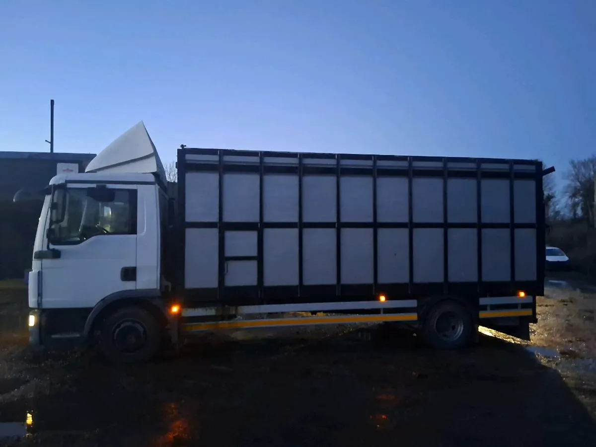 LIVESTOCK LORRY - Image 2