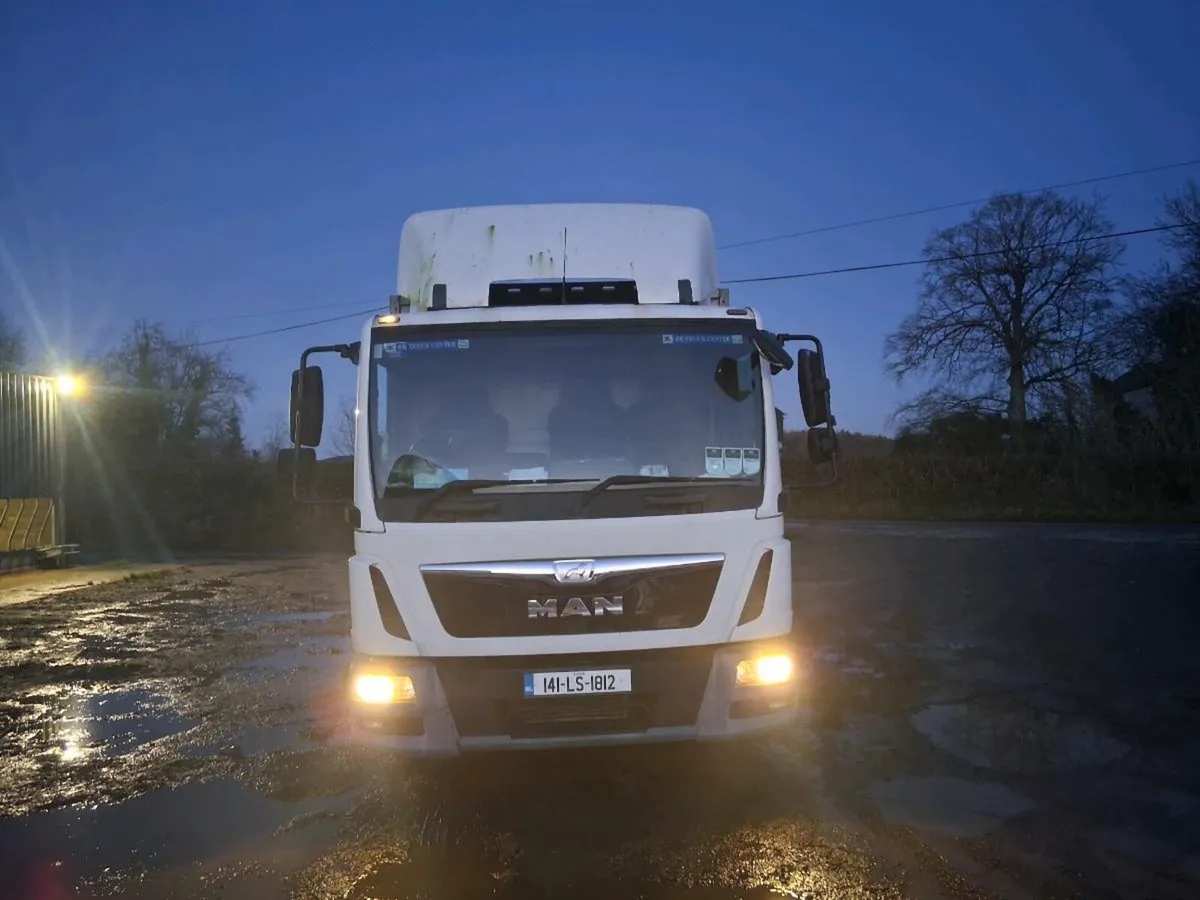 LIVESTOCK LORRY - Image 4