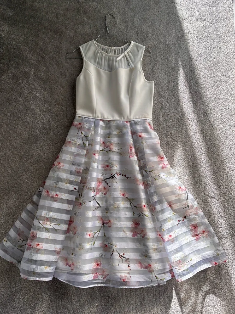 Ted Baker Dress - Image 1